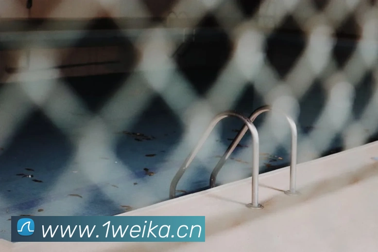 多媒体互动体验